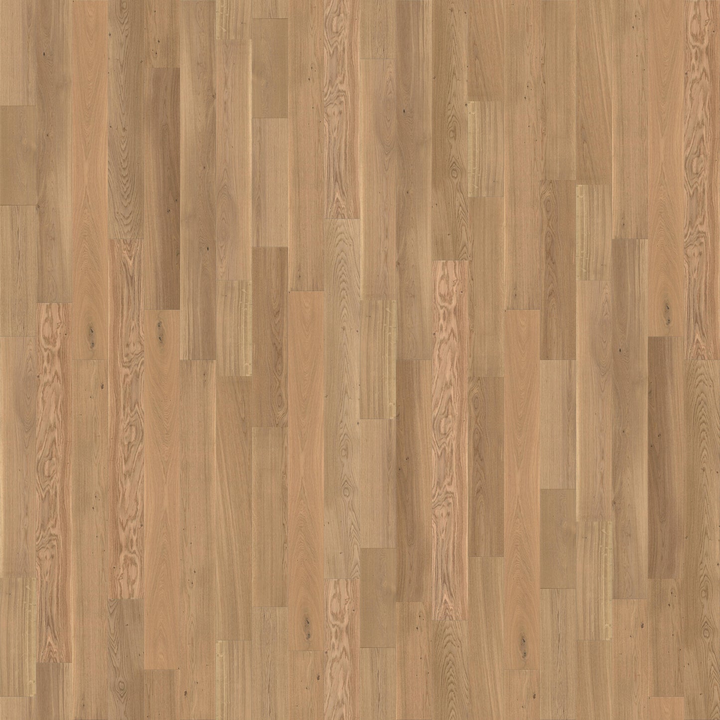 CALI European white oak New Vine hardwood flooring — primary plank view