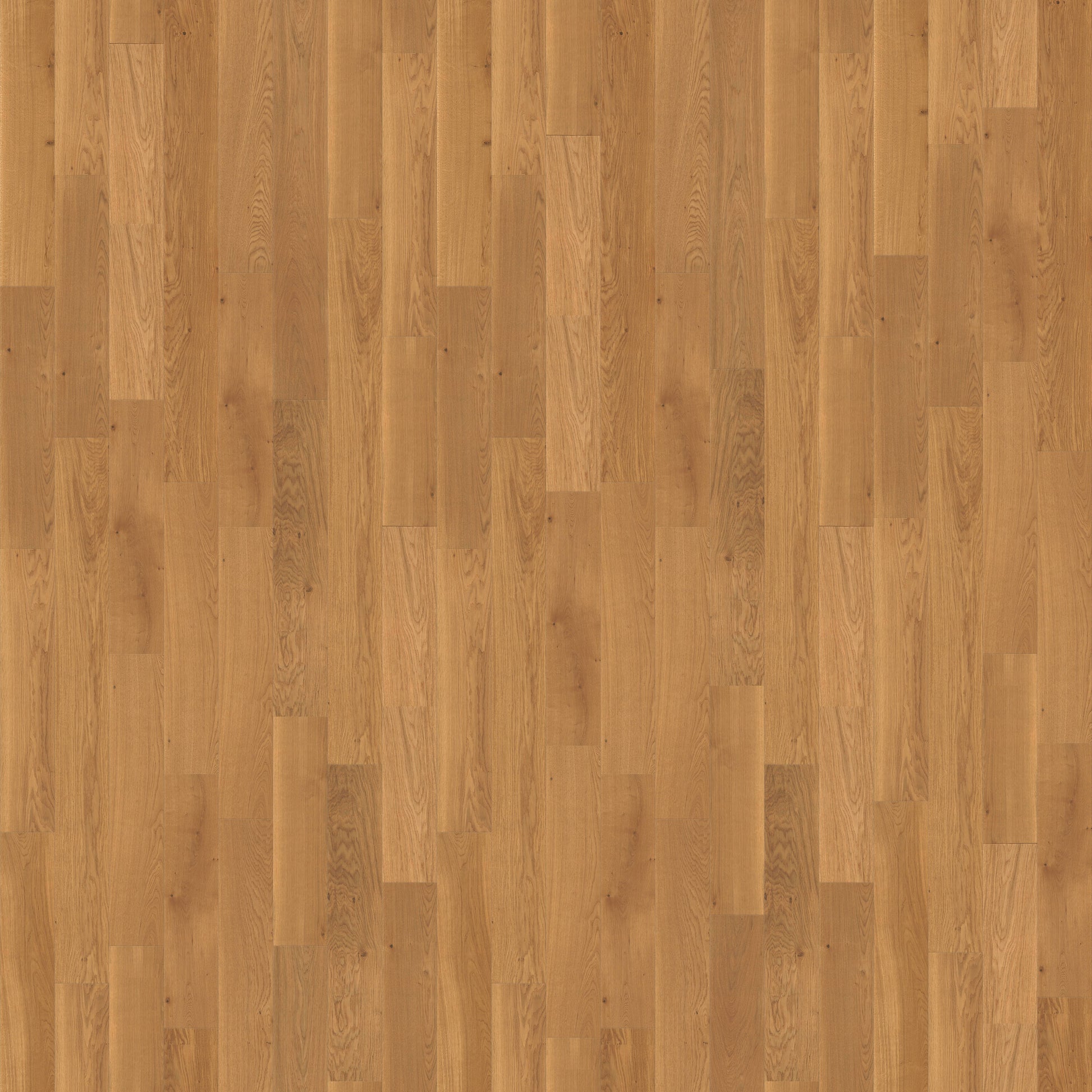 CALI European white oak Honeyed Harvest hardwood flooring — primary plank view