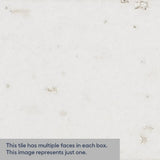 Elida Ceramica Painted Bricks White 2-in x 9-in Glazed Ceramic Brick Subway Wall Tile