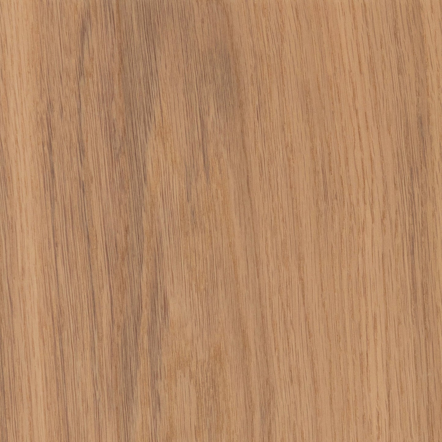 CALI European white oak New Vine hardwood flooring — lifestyle view