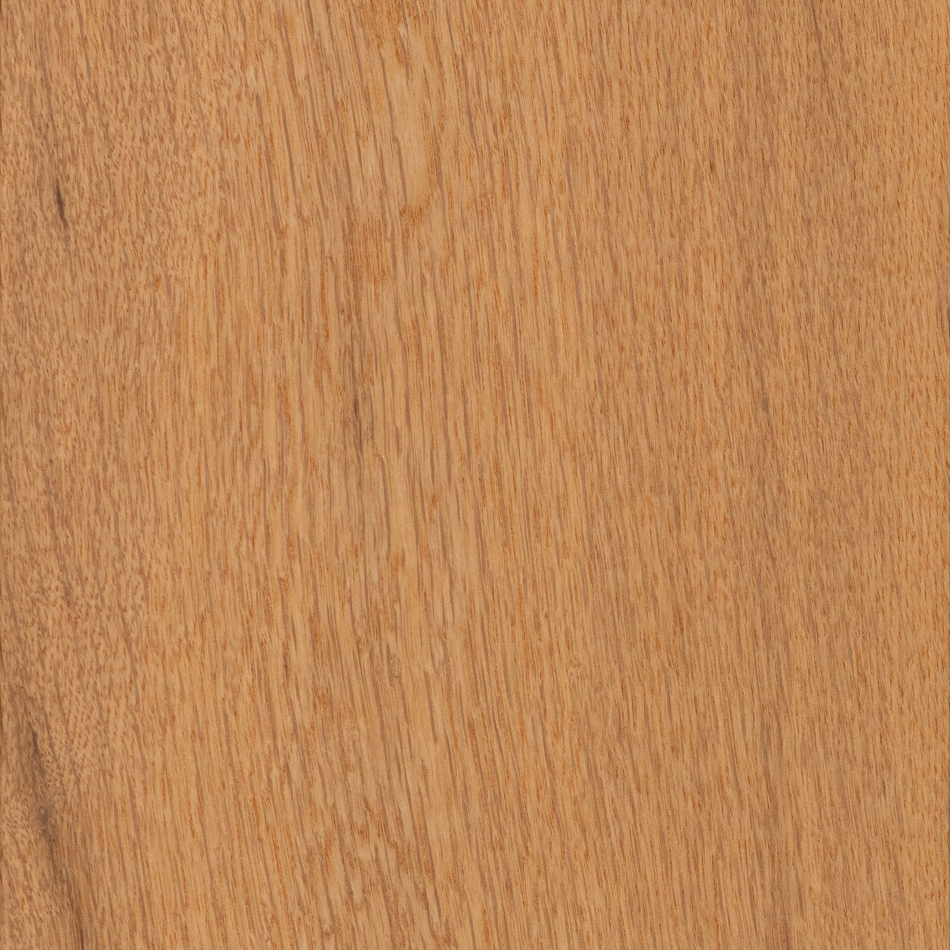 CALI European white oak Honeyed Harvest hardwood flooring — lifestyle view