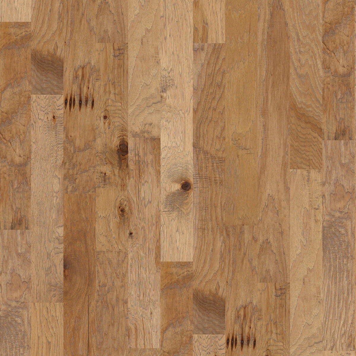 Shaw Hickory Bungalow hardwood flooring — primary plank view