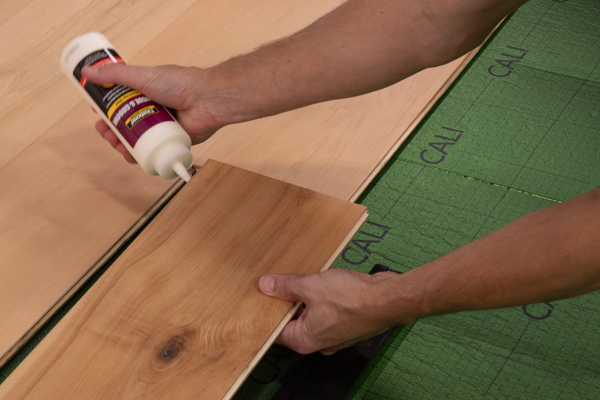 CALI Maple Natural Maple hardwood flooring — lifestyle view