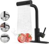 JOOM Black Kitchen Faucet with Pull Down Sprayer, Waterfall Design, Stainless Steel