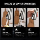WEWE Single Handle High Arc Brushed Nickel Kitchen Faucet with Pull Down Sprayer