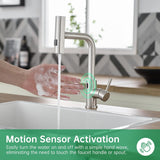 Cenosa Touchless Kitchen Faucet with Motion Sensor and Pull Down Sprayer, Brushed Nickel
