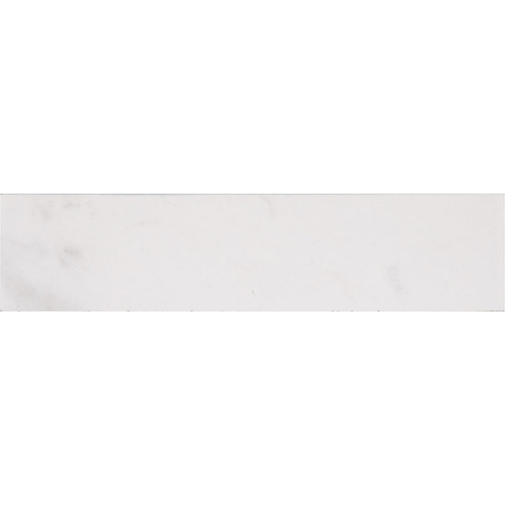 STAINMASTER Bullnose Calacatta Silver 3-in x 12-in Matte Porcelain Marble look Floor and Wall Tile product image