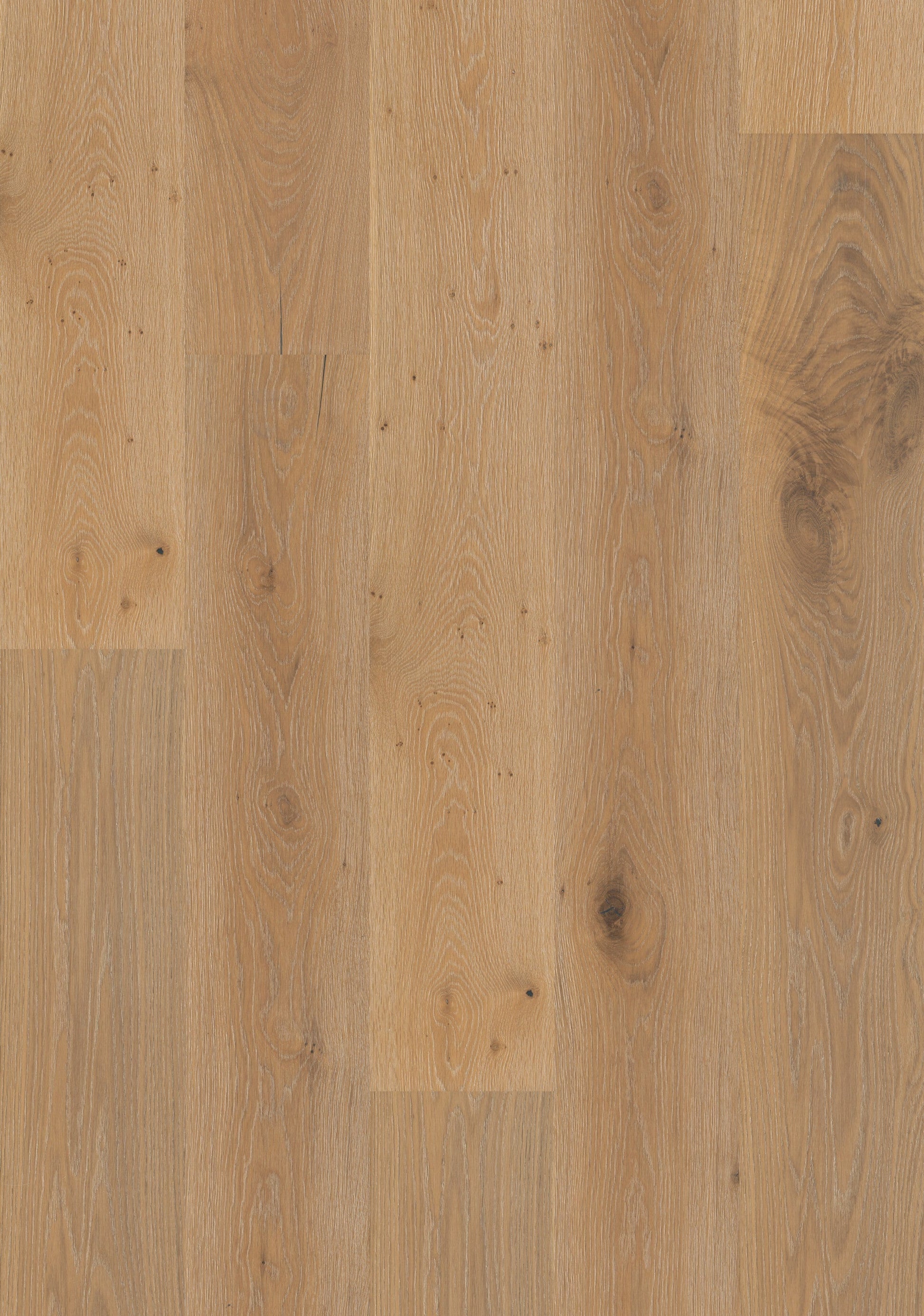 Shaw White oak Wilshire hardwood flooring — carton and plank detail