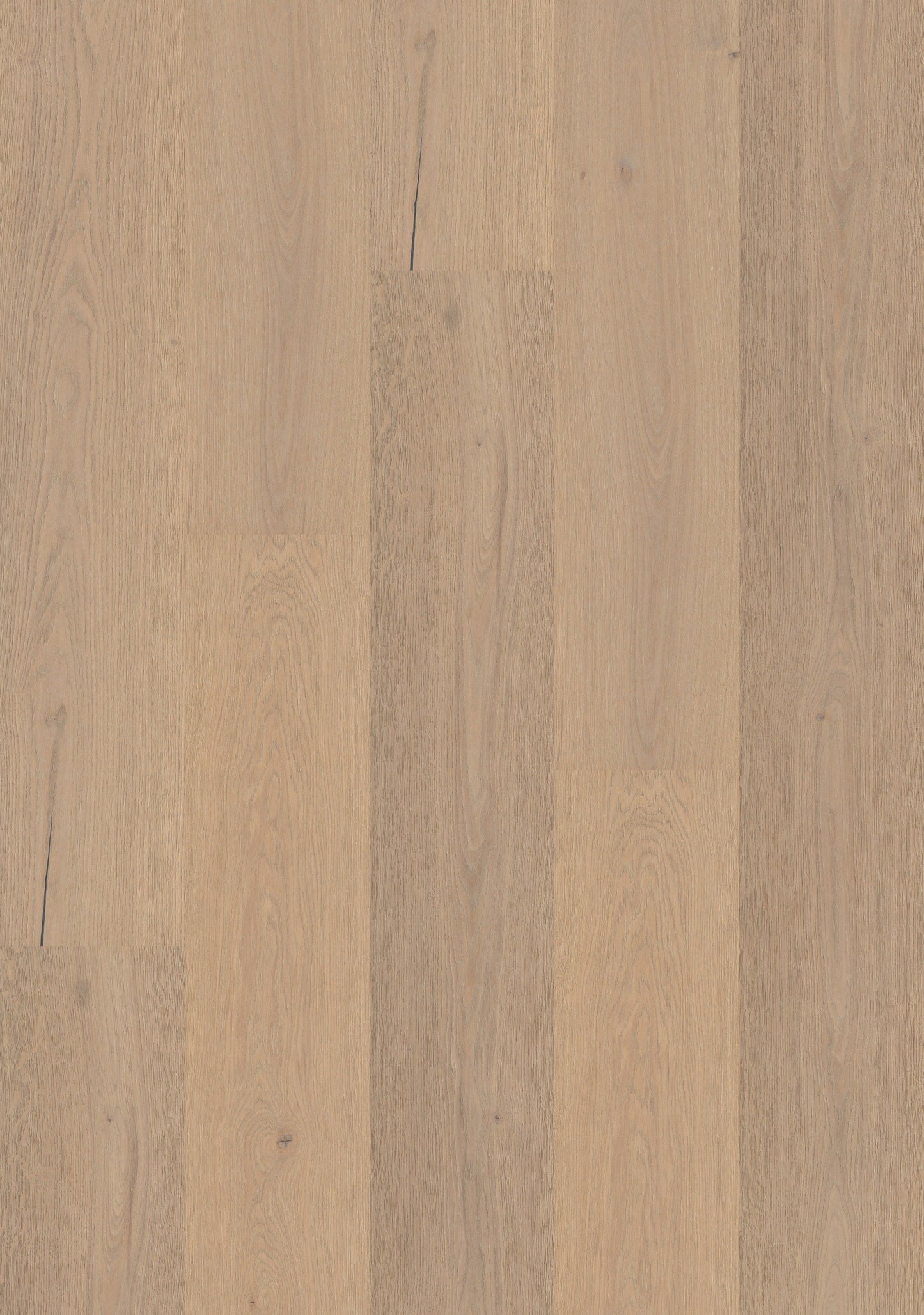 Shaw White oak Washington Park hardwood flooring — carton and plank detail