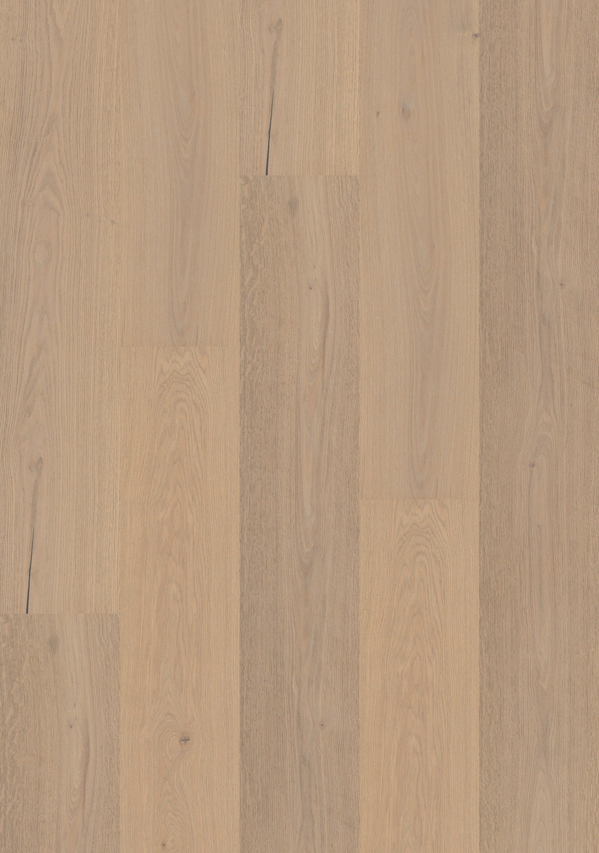 Shaw White oak Washington Park hardwood flooring — carton and plank detail