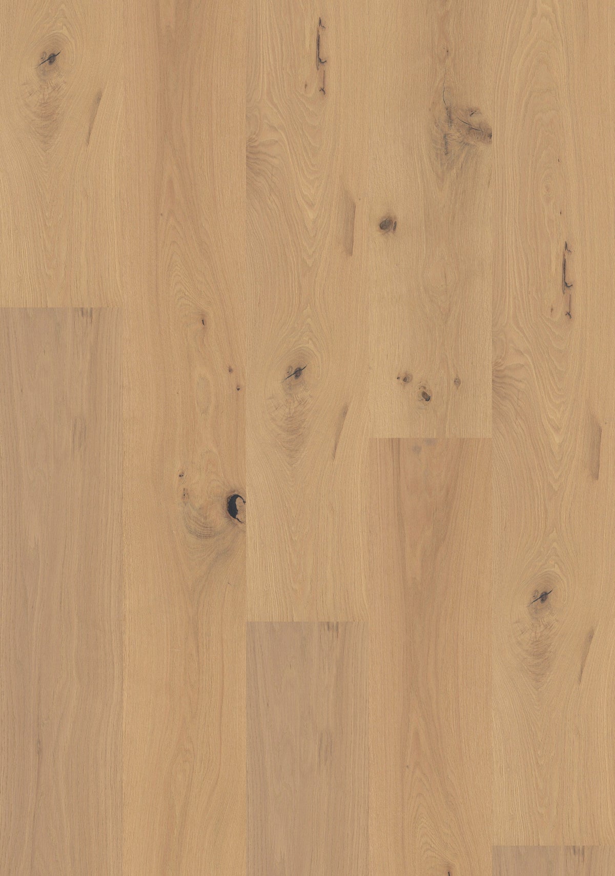 Shaw White oak Sunset Park hardwood flooring — carton and plank detail