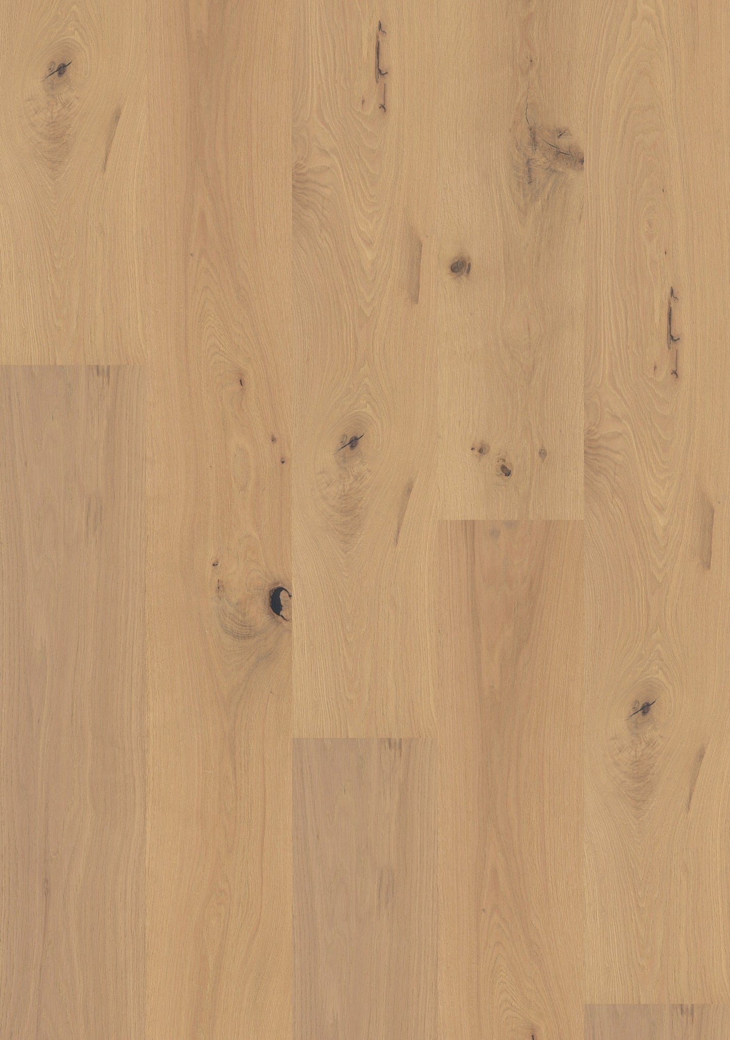 Shaw White oak Sunset Park hardwood flooring — carton and plank detail