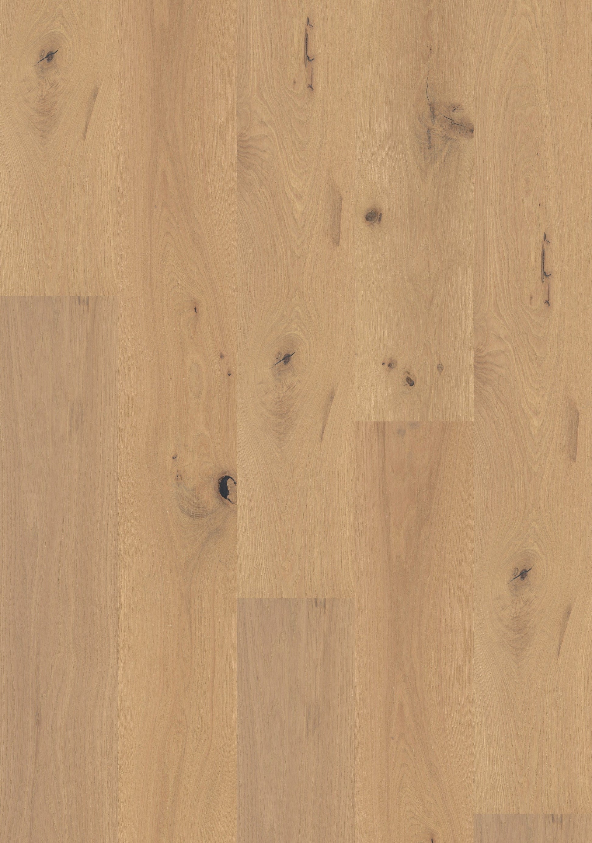 Shaw White oak Sunset Park hardwood flooring — carton and plank detail
