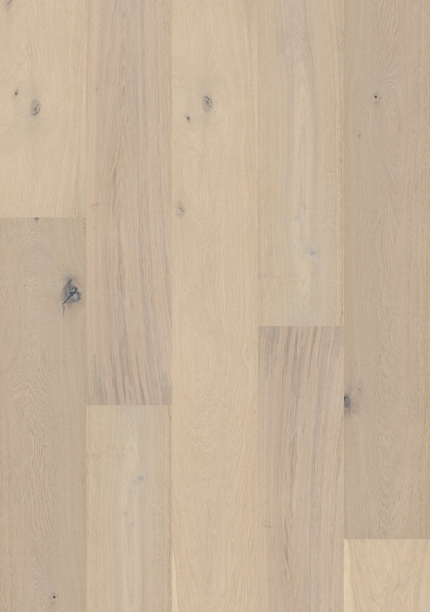Shaw White oak Tremont hardwood flooring — carton and plank detail