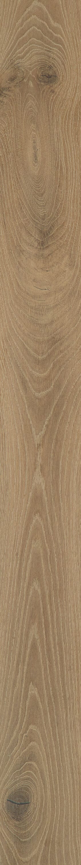 Shaw White oak Belmont Gardens hardwood flooring — carton and plank detail