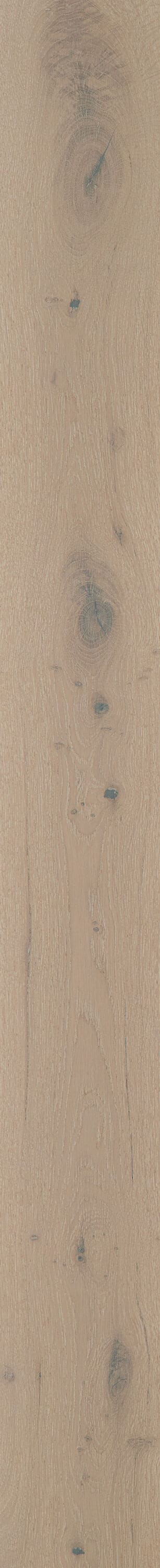 Shaw White oak Wynwood hardwood flooring — carton and plank detail
