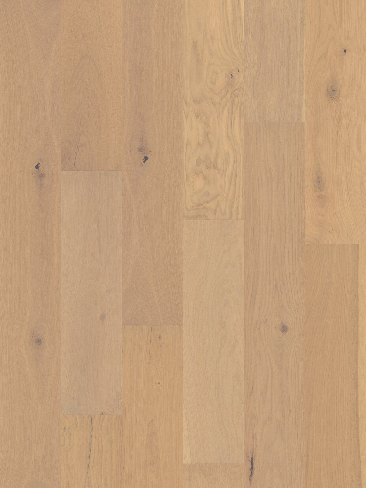 Shaw White oak Sully Creek hardwood flooring — lifestyle view