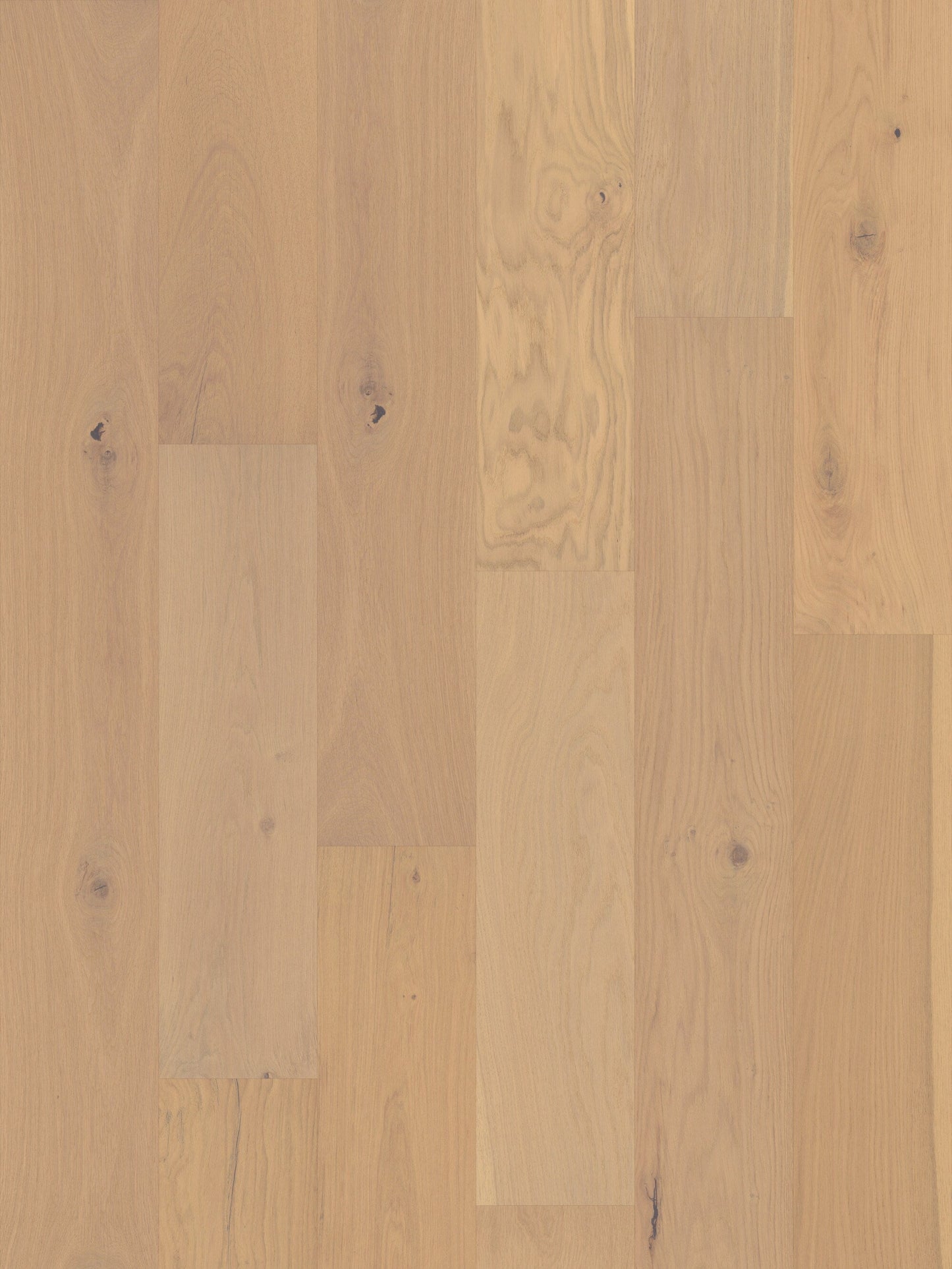 Shaw White oak Sully Creek hardwood flooring — lifestyle view