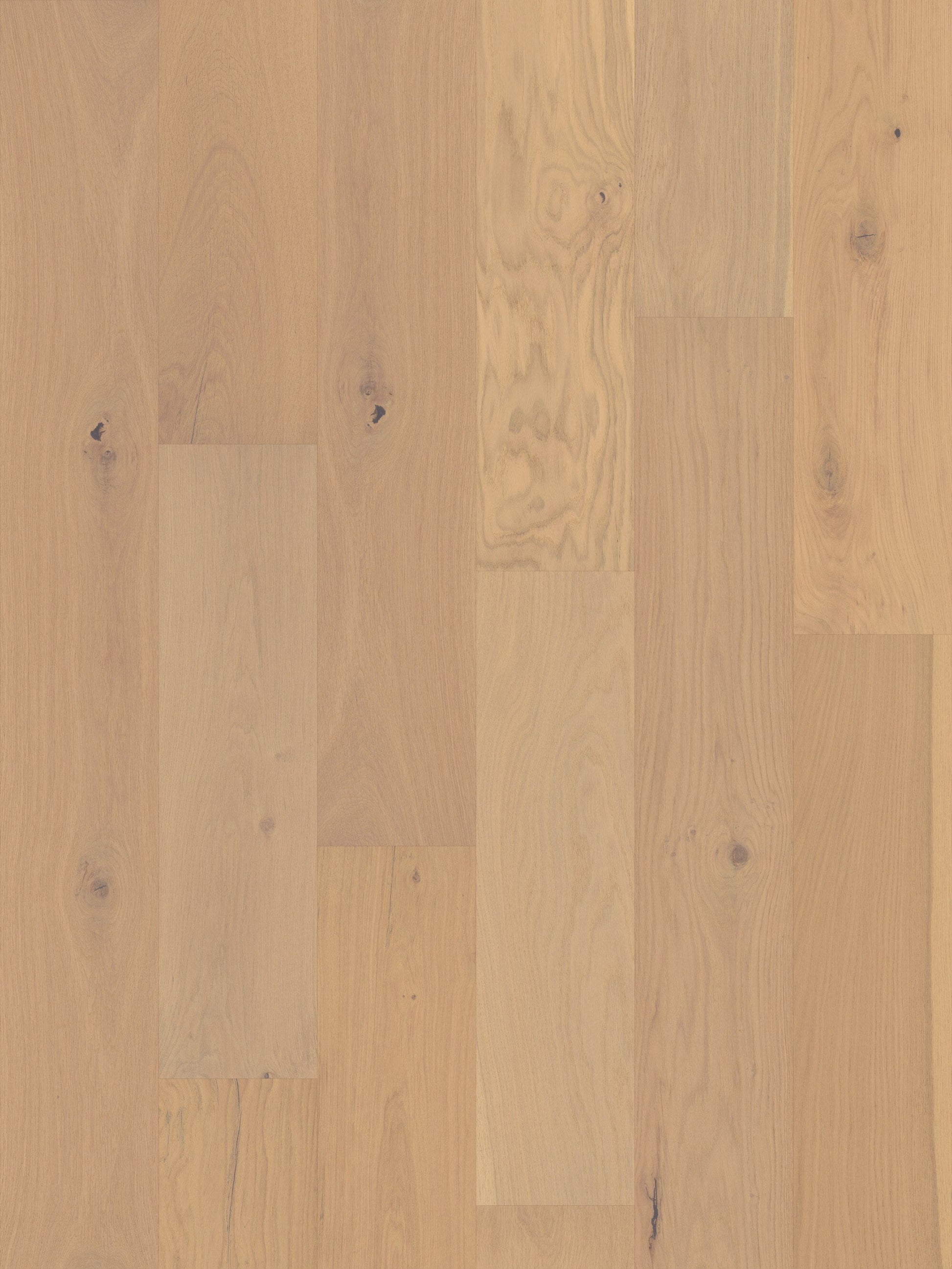 Shaw White oak Sully Creek hardwood flooring — lifestyle view