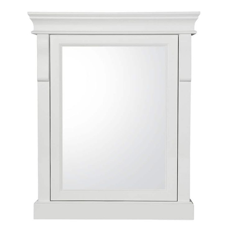 Home Decorators Collection Naples 25 in. W x 31 in. H Rectangular Medicine Cabinet with Mirror