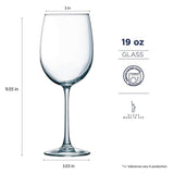 Cachet 19 oz. Tulip Party Pack (Set of 12)