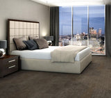 Shaw One Up 24-in x 24-in Newsfeed Multi-level Loop Full Spread Adhesive Carpet Tile (79.99-sq ft)