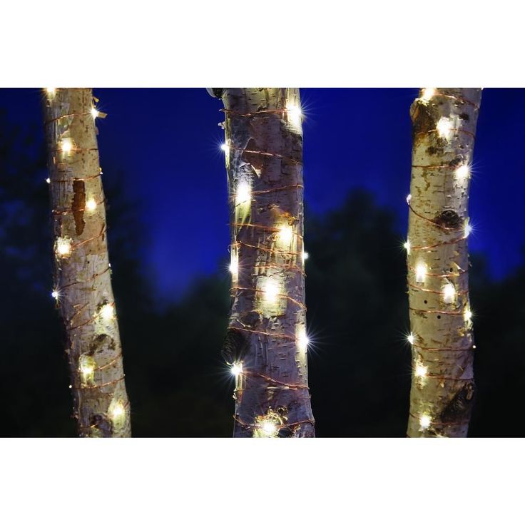 Copper wire LED Starry String Light Plug-in