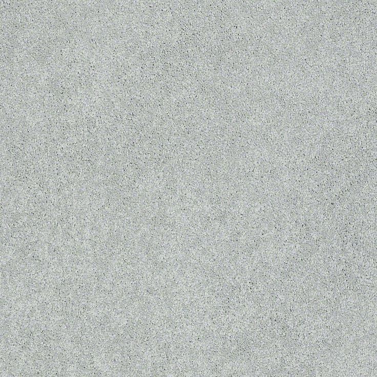 STAINMASTER PetProtect Baxter I Retriever Textured Carpet (Indoor)