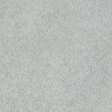STAINMASTER PetProtect Baxter I Retriever Textured Carpet (Indoor)
