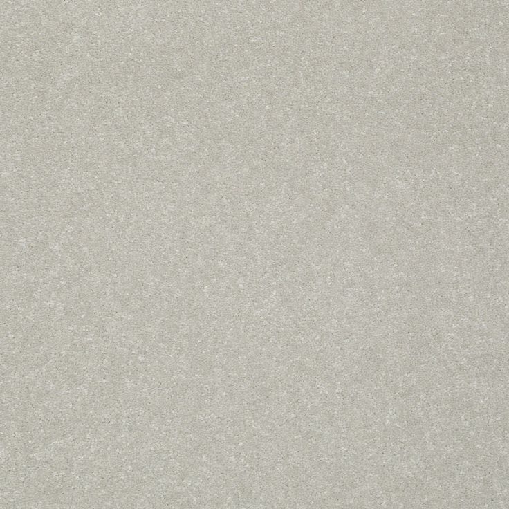 STAINMASTER Essentials Intuition III 12-ft Washed Linen Textured Carpet Sample (Interior)