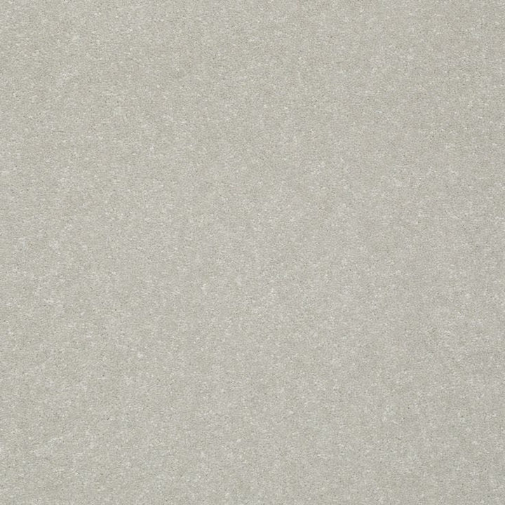 STAINMASTER Essentials Intuition III 12-ft Washed Linen Textured Carpet Sample (Interior)