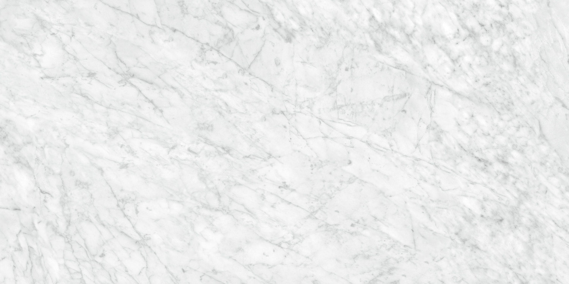 Satori La Marca Carrara Gioia 24-in x 48-in Honed Porcelain Marble look Floor and Wall Tile product image