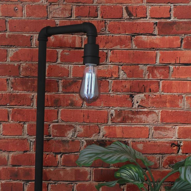 Feit Electric 60-Watt Equivalent ST19 Dimmable LED Smoke Glass Vintage Edison Light Bulb With Straight Filament Daylight (4-Pack)