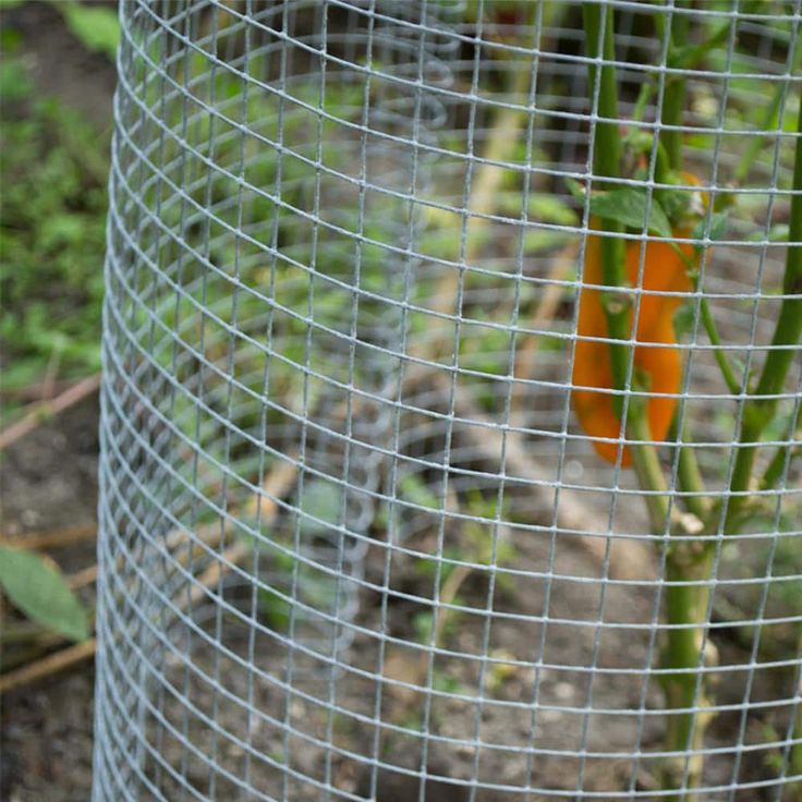 Everbilt Galvanized Steel 1/2 in. Mesh 2 ft. x 25 ft. 19-Gauge Hardware Cloth