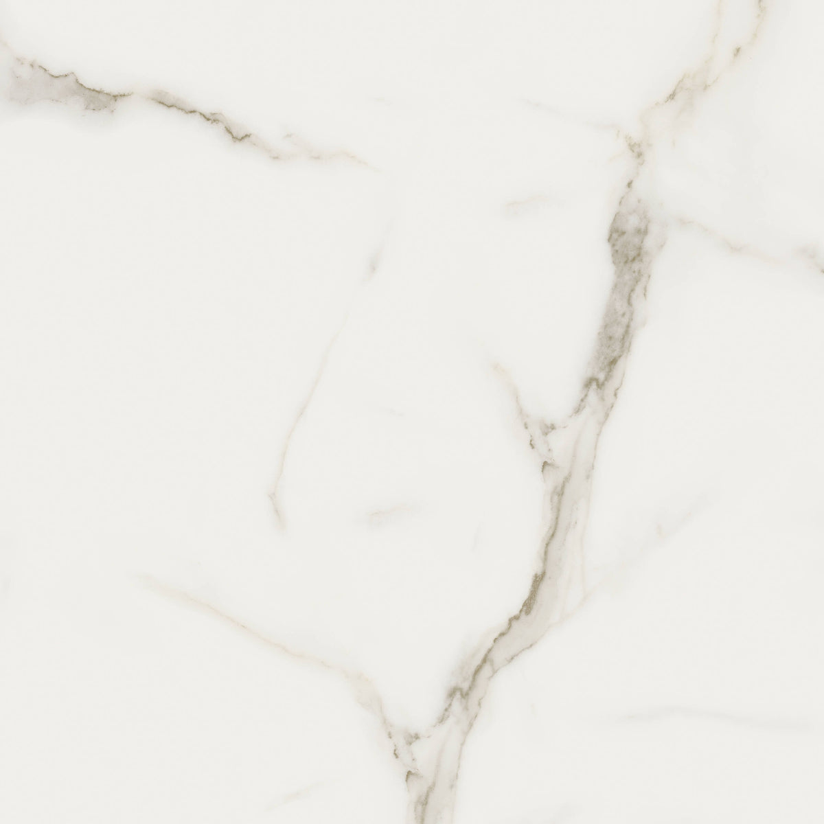 Satori Mayfair Calacatta Oro 24-in x 24-in Matte Porcelain Marble look Floor and Wall Tile product image