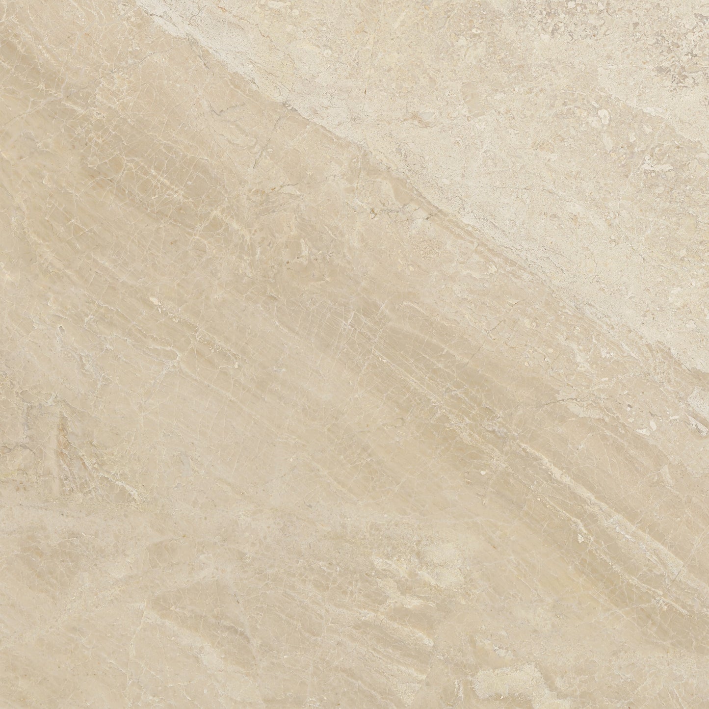 Satori Impero Reale 24-in x 24-in Honed Natural stone Marble Marble look Floor and Wall Tile product image