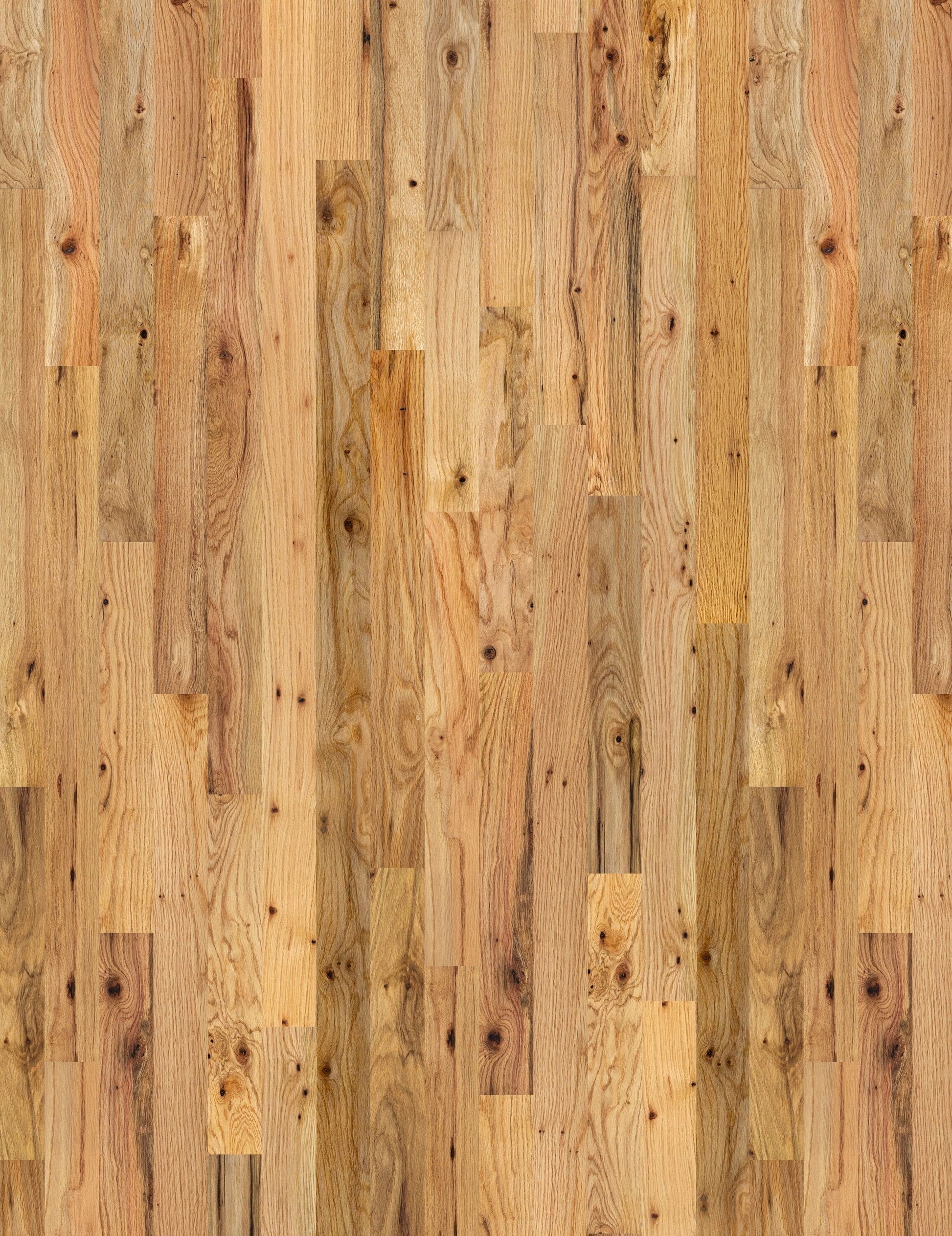 allen + roth Red oak Character Natural hardwood flooring — primary plank view
