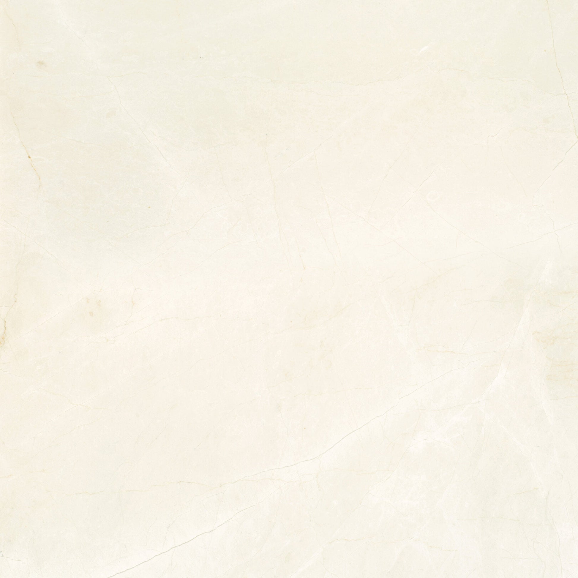 Satori Avorio Crema 24-in x 24-in Honed Natural stone Marble Marble look Floor and Wall Tile product image