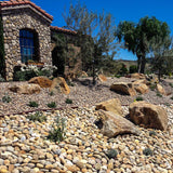 Southwest Boulder & Stone 0.50 cu. ft. 3 in. to 5 in. Buff Mexican Beach Pebble Smooth Round Rock for Gardens, Landscapes and Ponds - Super Arbor