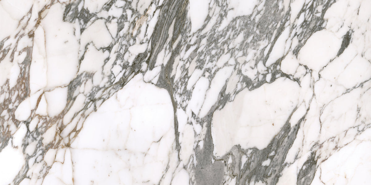 Satori Arabescato Palazzo 24-in x 48-in Honed Porcelain Marble look Floor and Wall Tile product image