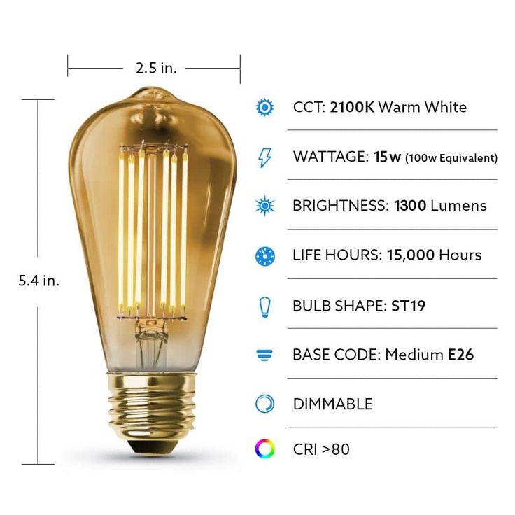 Feit Electric 100-Watt Equivalent ST19 Dimmable LED Amber Glass Vintage Edison Light Bulb With Straight Filament Warm White (12-Pack)