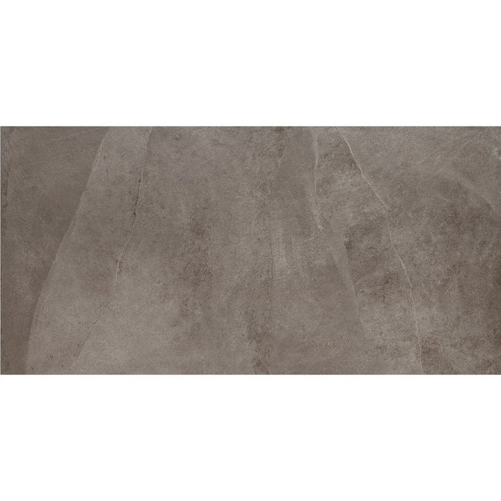 Daltile Delegate Light Grey 12-in x 24-in Matte Porcelain Cement look Floor and Wall Tile product image