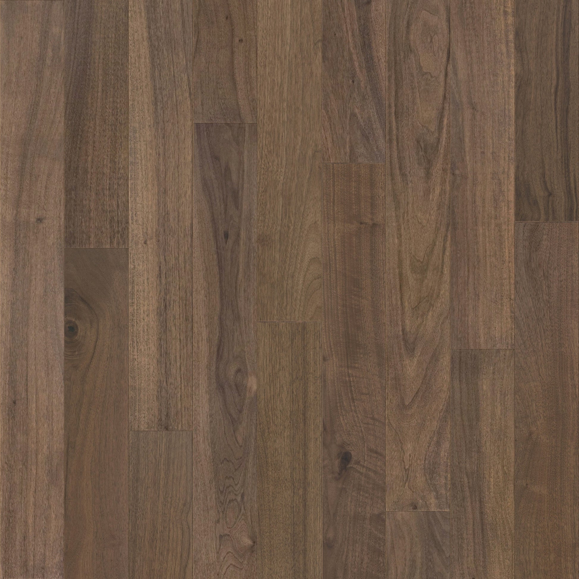 allen + roth Walnut Muenchen hardwood flooring — primary plank view