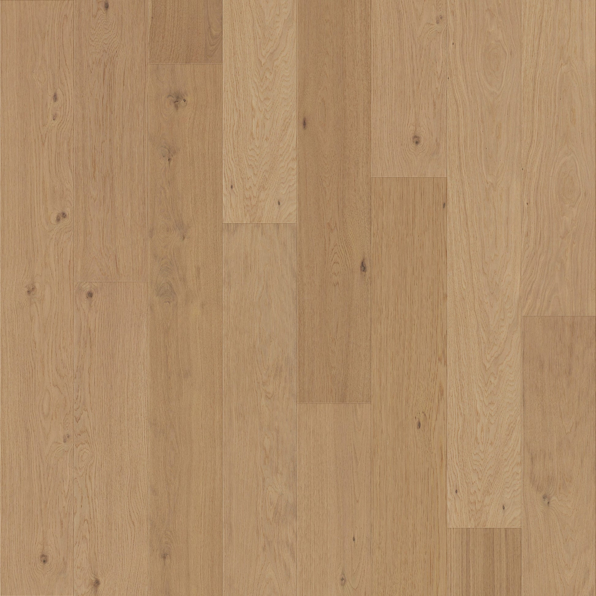 allen + roth Oak Lakeview Superior hardwood flooring — primary plank view