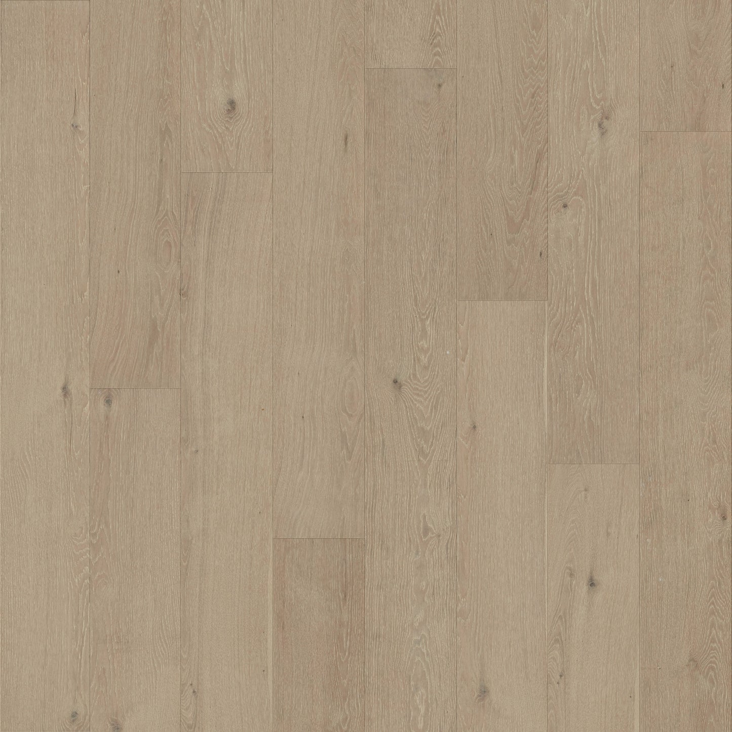 allen + roth Oak Lakeview Geneva hardwood flooring — primary plank view