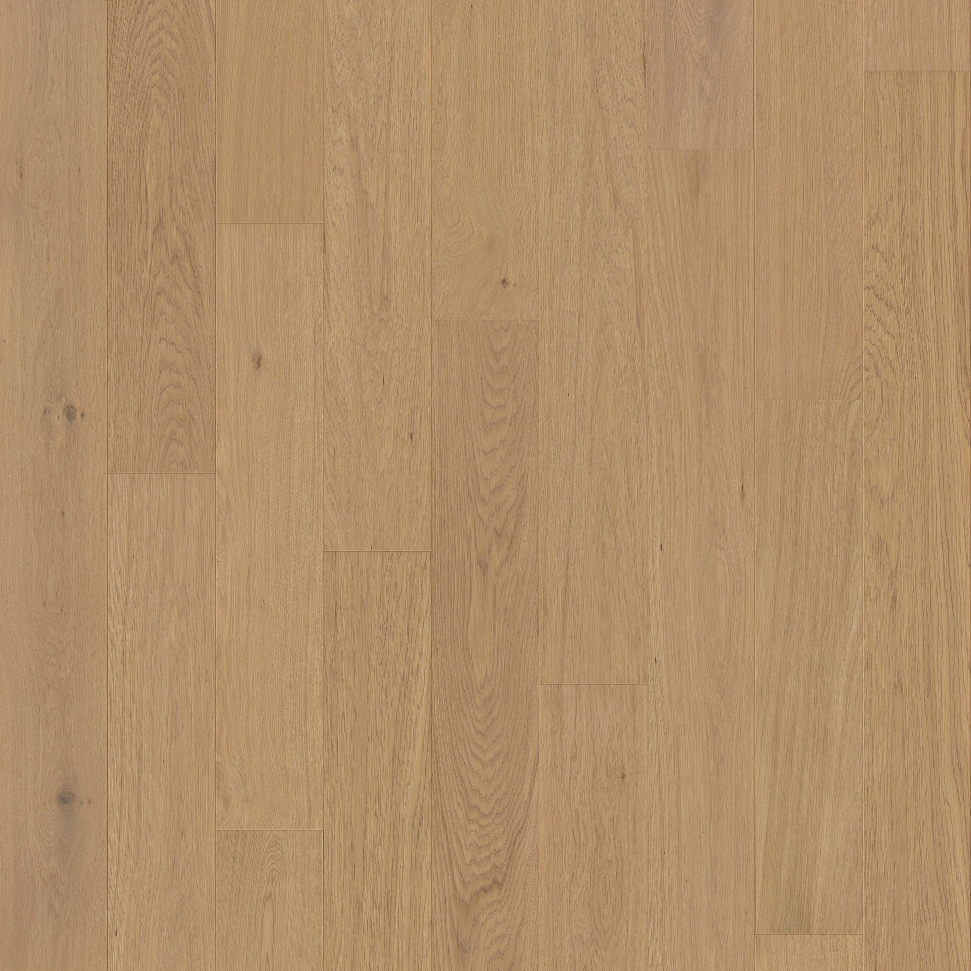 allen + roth Oak Lakeview Victoria hardwood flooring — primary plank view