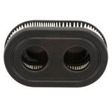 Briggs & Stratton Air Filter