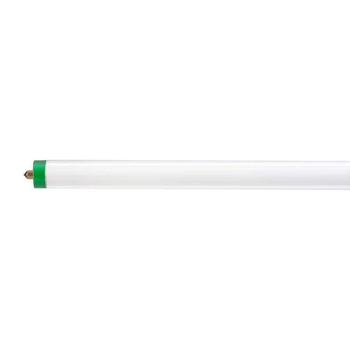 59-Watt 8 ft. Alto T8 Fluorescent Tube Light Bulb, Cool White (4100K)