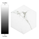 Timeless Calacatta Hex 8-5/8 in. x 9-7/8 in. Porcelain Floor and Wall Tile (11.56 sq. ft. / case) - Super Arbor