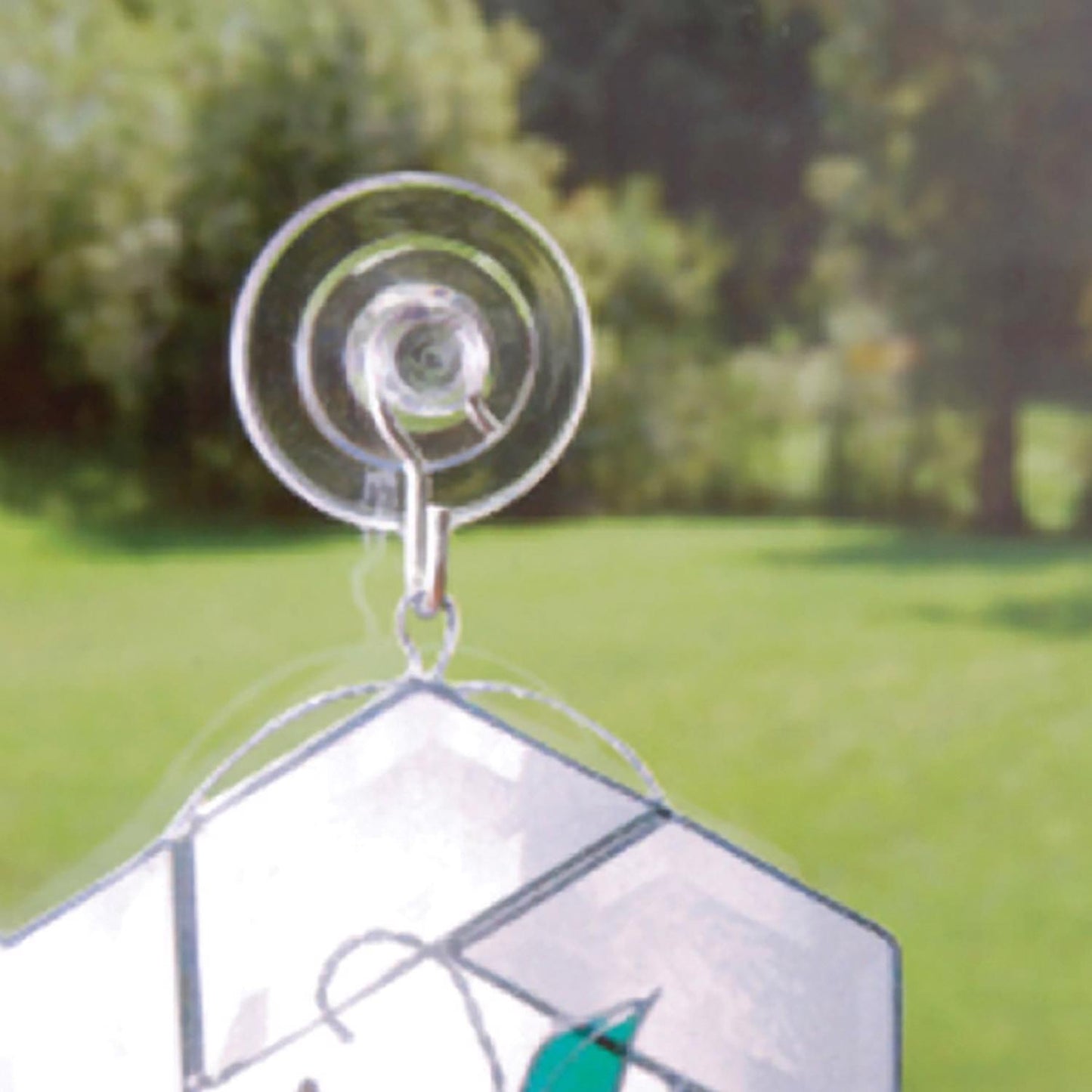 Hillman OOK Clear Cup/Picture Hook 1 lb 6 pk